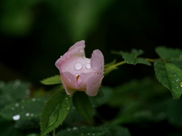 Trouvez le mug maman idéal pour chaque occasion spéciale
